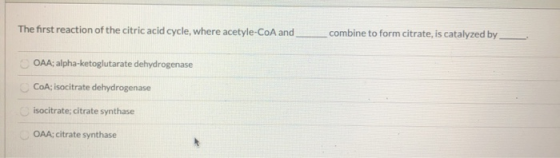 The first reaction of the citric acid cycle, where acetyle-CoA and combine to form citrate, is catalyzed by OAA; alpha-ketogl