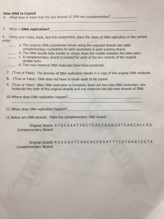 How DNA Is Copied 4. What does it mean that the two strands of DNA are complementary? 5. What is DNA replication?, 6. Using y