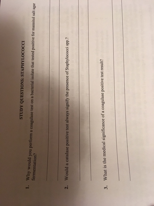 STUDY QUESTIONS: STAPHYLOcocc 1. Why would you perform a coagulase test on a bacterial isolate that tested positive for manni