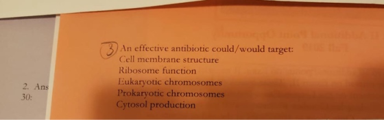 An effective antibiotic could/would target: Cell membrane structure Ribosome function Eukaryotic chromosomes Prokaryotic chro