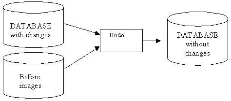 DATABASE with changes Undo DATABASE without changes → Before mages