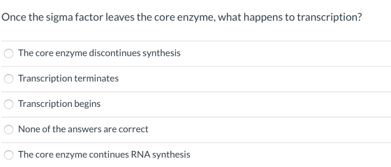 Once the sigma factor leaves the core enzyme, what happens to transcription? The core enzyme discontinues synthesis Transcrip