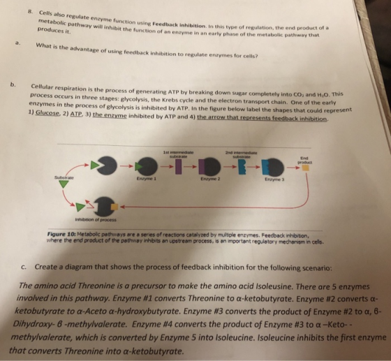 6 Cells also regulate enzyme function using dhac inhibition in this type of regulation, metabolic pathway etabolic pathway wi