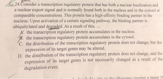 24.Consider a transcription regulatory protein that has both a nuclear localization and a nuclear export signal and is normal