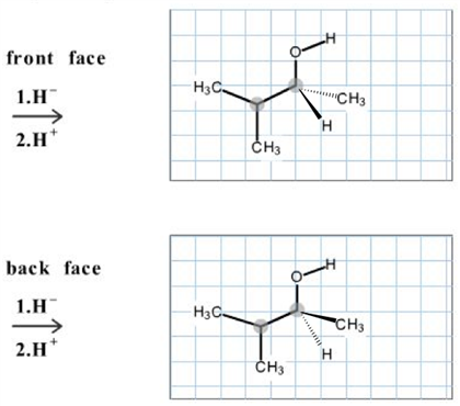 front face H3C CH3 1.H 2.H СНЗ back face 1.H H3 2.H