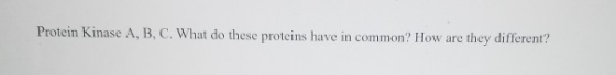 Protein kinase A, B, C, What do these proteins have in common? How are they different?