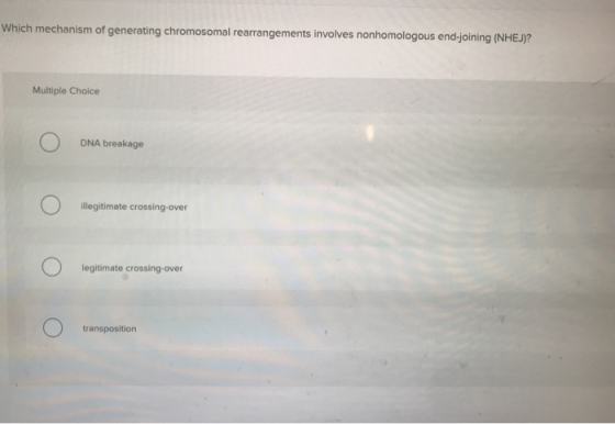 Which mechanism of generating chromosomal rearrangements involves nonhomologous end-joining (NHEJ)? Multiple Choice DNA break