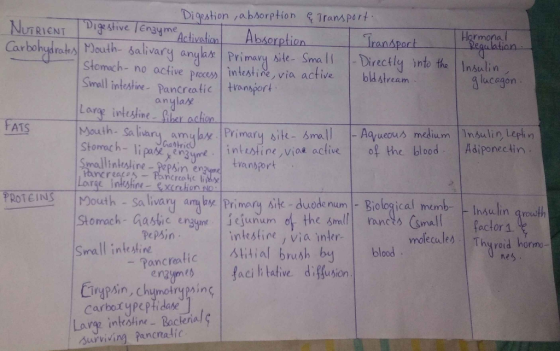 Digestion absorption Transpert Digestive Enayme Activation MDouth- salivary anya Primary sile- Sma l NUTRICNT Carbalyglrabs A