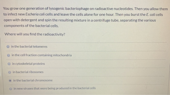 You grow one generation of lysogenic bacteriophage on radioactive nucleotides. Then you allow them to infect new Escheria col