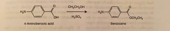 to O CH2CH2OH o H2N- HN OH H2SO4 OCH CH3 4-Aminobenzoic acid Benzocaine