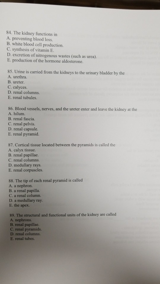 84. The kidney functions in A. preventing blood loss. B. white blood cell production. C. synthesis of vitamin E D. excretion of nitrogenous wastes (such as urea). E. production of the hormone aldosterone. 85. Urine is carried from the kidneys to the urinary bladder by the A. urethra. B. ureter. C. calyces. D. renal columns. E. renal tubules. 86. Blood vessels, nerves, and the ureter enter and leave the kidney at the A. hilum. B. renal fascia. C. renal pelvis D. renal capsule. E. renal pyramid. 87. Cortical tissue located between the pyramids is called the A. calyx tissue. B. renal papillae. C. renal columns. D. medullary rays. E. renal corpuscles. 88. The tip of each renal pyramid is called A. a nephron. B. a renal papilla. C. a renal column. D. a medullary ray E. the apex. 89. The structural and functional units of the kidney are called A. nephrons. B. renal papillae. C. renal pyramids. D. renal columns. E. renal tubes.