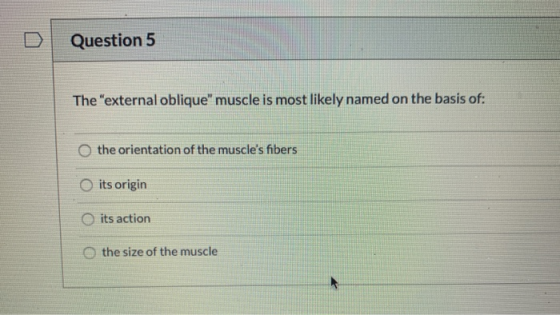 Question 5 The external oblique muscle is most likely named on the basis of: the orientation of the muscles fibers O its o