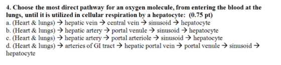 Choose the most direct pathway for an oxygen molec