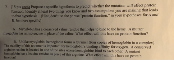 (15 pts cach) Propose a specific hypothesis to predict whether the mutation will affect protein function. Identify at least two things you know and two assumptions you are making that leads to that hypothesis. (Hint, dont use the phrase protein function, in your hypotheses for A and B, be more specific) 2. A. Myoglobin has a conserved valine residue that helps to bind to the heme. A mutant myoglobin has an isoleucine in place of the valine. What effect will this have on protein function? B. Unlike myoglobin, hemoglobin forms a tetramer (four copies of hemoglobin in a complex). The stability of this tetramer is important for hemoglobins binding affinity for oxygen. A conserved arginine residue is located in one of the sites where hemoglobins bind to each other. A mutant emoglobin has a leucine residue in place of this arginine. What effect will this have on protein function?
