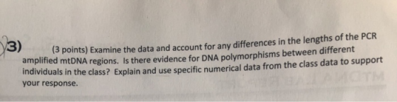 13 points) Examine the data and account for any differences in the lengths of the PCR amplified mtDNA regions. Is there evide