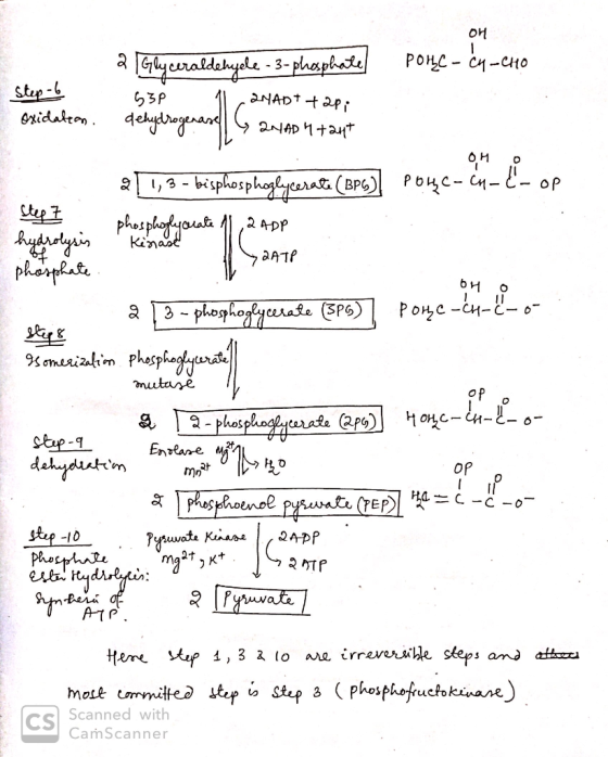 애 Step-6 oxidation ZNAD 4 tant a Glyceraldebydle - 3-phosphatel POHC-Ćy-440 530 1 QMADI TOP; dehydrogenase Ganadtant *] 1, 9