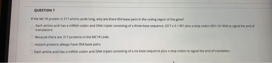 QUESTION 7 If the MC1R protein is 317 amino acids long why are there 954 base pairs in the coding region of the gene? Each am