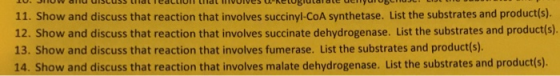 H U U UJUJJ LIUtledCUIUIT liial HIVUIVES News 11. Show and discuss that reaction that involves succinyl-CoA synthetase. List