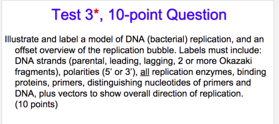 Test 3*, 10-point Question Illustrate and label a model of DNA (bacterial) replication, and an offset overview of the replication bubble. Labels must include: DNA strands (parental, leading, lagging, 2 or more Okazaki fragments), polarities (5 or 3), all replication enzymes, binding proteins, primers, distinguishing nucleotides of primers and DNA, plus vectors to show overall direction of replication. (10 points)