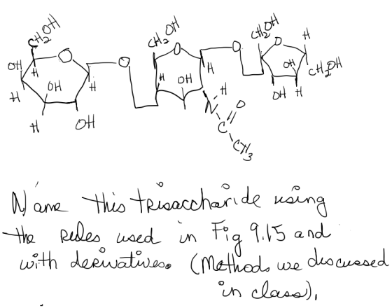 H CH₂OH oti OH H H 대에 TH OH OH # H H 애 H OH وات - Z are this trisaccharide using the rules used in Fig with derivativeso (Met