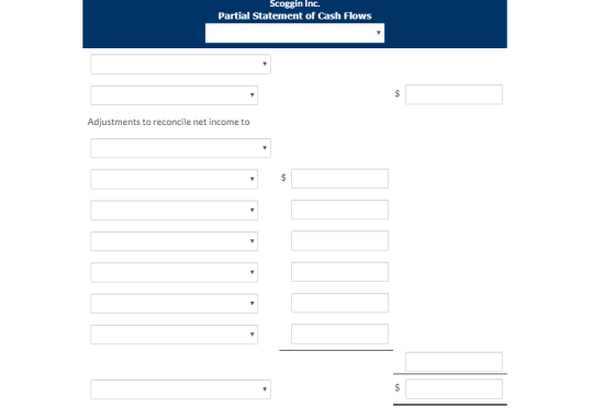 Scoggin Inc. Partial Statement of Cash Flows Adjustments to reconcile net income to