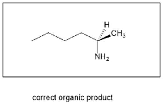 NH2 correct organic product