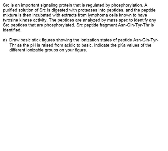 proteses into pyepries ond the peride Src is an important signaling protein that is regulated by phosphorylation. A purified solution of Src is digested with proteases into peptides, and the peptide mixture is then incubated with extracts from lymphoma cells known to have tyrosine kinase activity. The peptides are analyzed by mass spec to identify any Src peptides that are phosphorylated. Src peptide fragment Asn-Gln-Tyr-Thr is identified a) Draw basic stick figures showing the ionization states of peptide Asn-Gln-Tyr- Thr as the pH is raised from acidic to basic. Indicate the pKa values of the different ionizable groups on your figure.