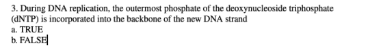 3. During DNA replication, the outermost phosphate of the deoxynucleoside triphosphate (dNTP) is incorporated into the backbo