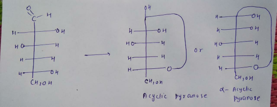 국물 노 or H十0 대 20H 대애 CH,on d- Acyclic pyranose Acyclic bysanose