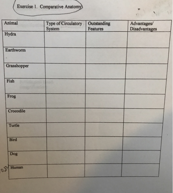 Exercise 1. Comparative Anato Animal Type of Circulatory Outstanding System Advantages/ Disadvantages Features Hydra Earthworm Grasshopper Fish Frog Crocodile Turtle Bird Dog Human