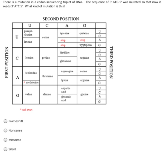 There is a mutation in a codon-sequencing triplet of DNA. The sequence of 3 ATG 5 was mutated so that now it reads 3 ATC 5