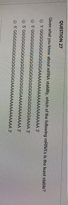 QUESTION 27 Given what you know about mRNA stability, which of the following mRNAs is the least stable? 5 GGGGGGGGGGGGGAAAA