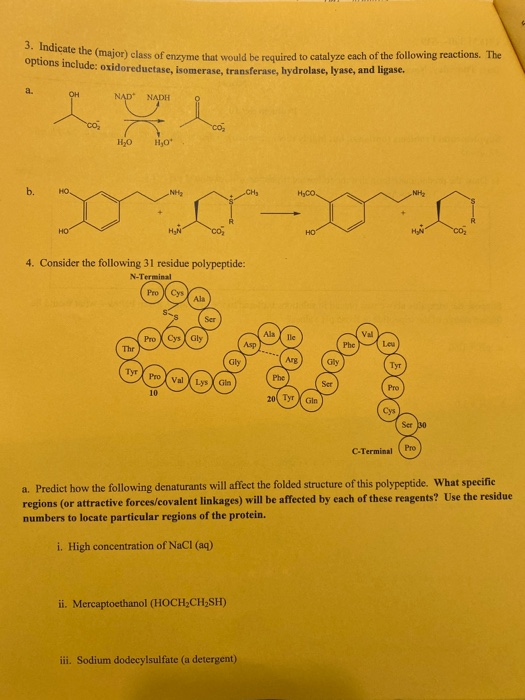 3. Indicate the (major) class of enzym major class of enzyme that would be required to catalyze each of the following reactio