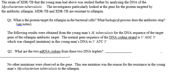 The strain of XDR-TB that the young man had above was studied further by analyzing the DNA of the Mycobacterium tuberculosis.
