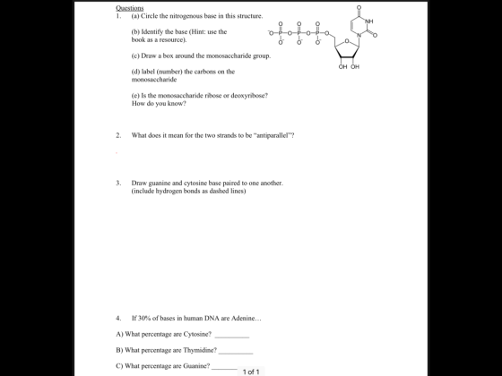 Questions 1. (a) Circle the nitrogenous base in this structure. (b) Identify the base (Hint: use the book as a resource) 0 0