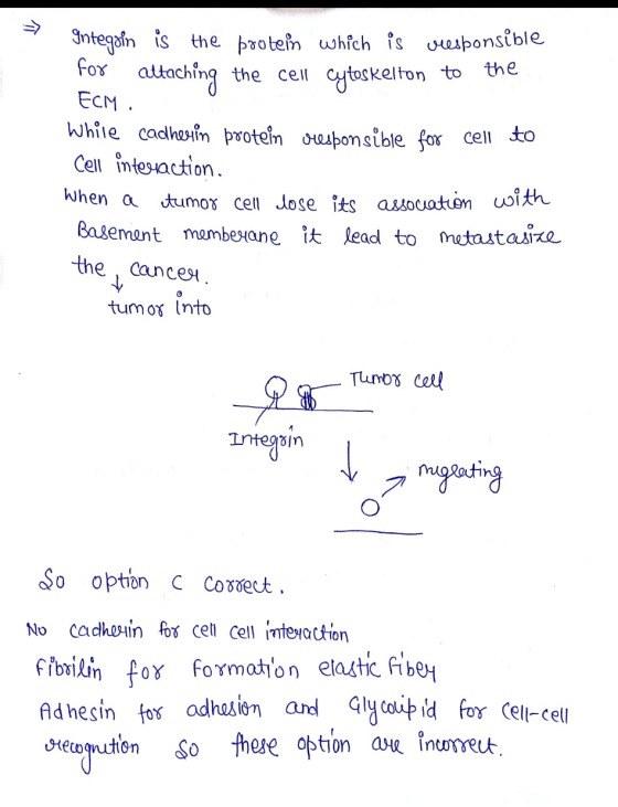 Integgin is the protein which is veesponsible for attaching the cell cytoskelton to the Есм. while cadherin protein ouesbonsi