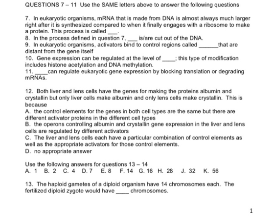 QUESTIONS 7 - 11 Use the SAME letters above to answer the following questions 7. In eukaryotic organisms, mRNA that is made f