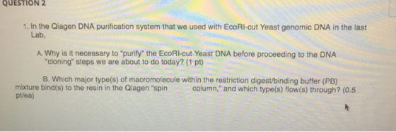 QUESTION 2 1. In the Qiagen DNA purification system that we used with EcoRi-cut Yeast genomic DNA in the last Lab A. Why is i