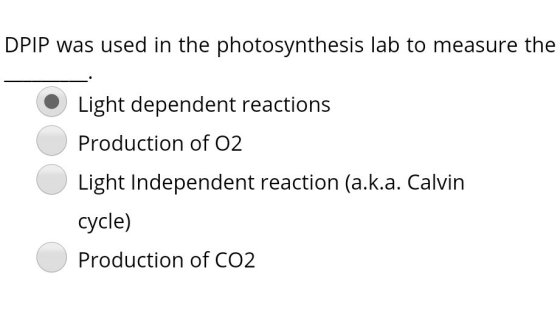 DPIP was used in the photosynthesis lab to measure the Light dependent reactions Production of 02 Light Independent reaction