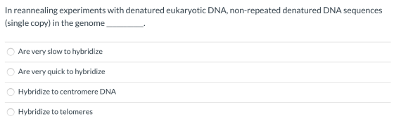 In reannealing experiments with denatured eukaryotic DNA, non-repeated denatured DNA sequences (single copy) in the genome Ar
