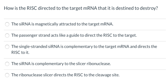 How is the RISC directed to the target mRNA that it is destined to destroy? The siRNA is magnetically attracted to the target