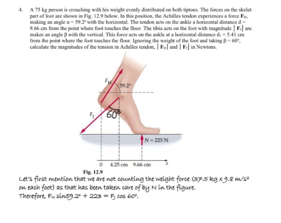 A 75 kg person is crouching with his weight evenly distributed on both tiptoes. The forces on the skelet part of foot are sho