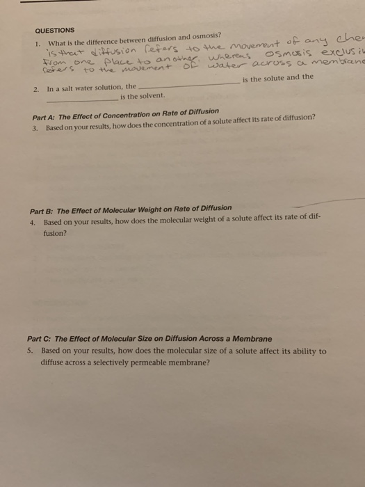QUESTIONS 1. What is the difference between diffusion and osmosis? om one Slace to an to we movement OP water aaross ca membiane is the solute and the 2. In a salt water solution, the is the solvent. Part A: The Effect of Concentration on Rate of Diffusion 3. Based on your results, how does the concentration of a solute affect its rate of diffusion? Part B: The Effect of Molecular Weight on Rate of Diffusion 4. Based on your results, how does the molecular weight of a solute affect its rate of dif- fusion? Part C: The Effect of Molecular Size on Diffusion Across a Membrane 5. Based on your results, how does the molecular size of a solute affect its ability to diffuse across a selectively permeable membrane?