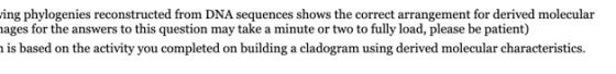 wing phylogenies reconstructed from DNA sequences shows the correct arrangement for derived molecular nages for the answers t