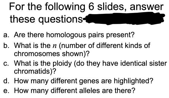For the following 6 slides, answer these questions a. Are there homologous pairs present? b. What is the n (number of differe