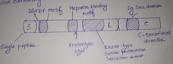 IGFBP Motif 3 Heparin binding I motif Ig like domain Single peptide Preoteolytic C-terminal domain Kazal-type Serine fristein