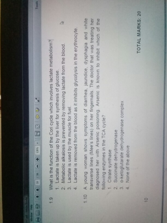 Window Help 2 1 10 16 + 128% - B u Tools 1.9 What is the function of the Cori cycle which involves lactate metabolism? 2. Met