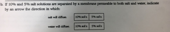 If 10% and 5% salt solutions are separated by a me