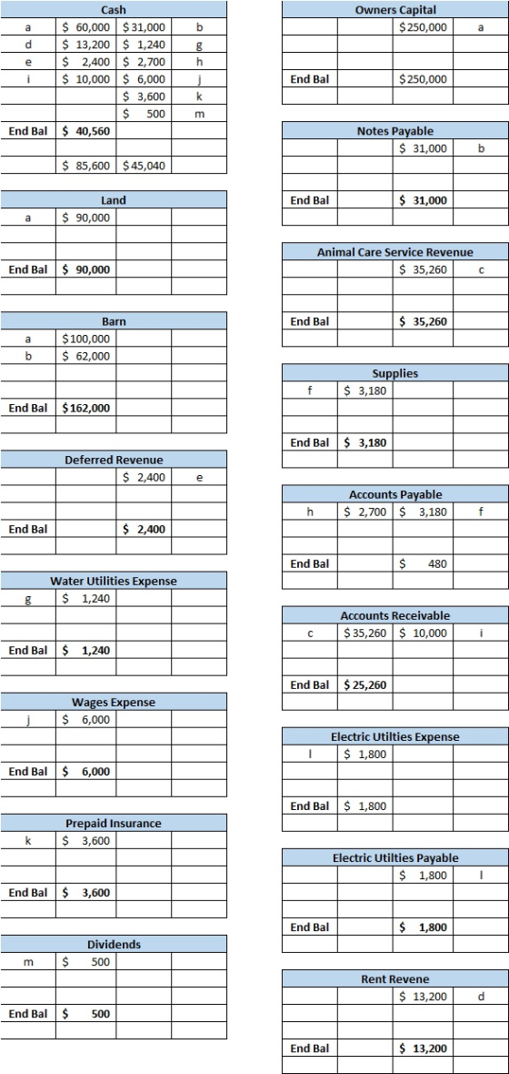 Owners Capital $ 250,000 b a g h Cash a $ 60,000 $31,000 d $ 13,200 $ 1,240 e $ 2,400 $ 2,700 i $ 10,000$ 6,000 $ 3,600 $ $ 5