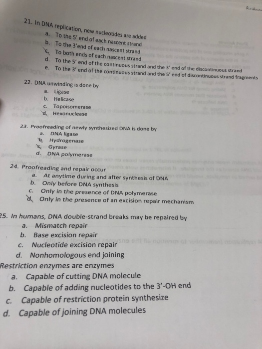 21. In DNA replication, new nucleotides are added a. To the 5 end of each nascent strand b. To the 3end of each nascent str